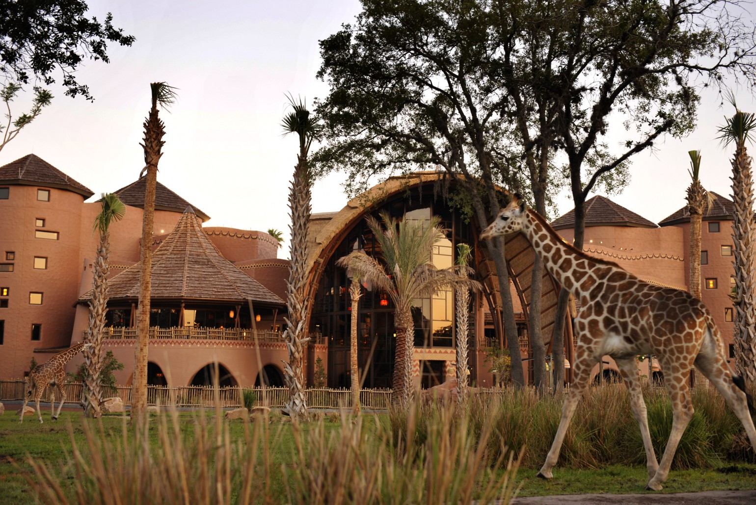 The Ultimate Review of Kidani Village at Walt Disney World featured by top US Disney blogger, Marcie and the Mouse: Kidani Village at Animal Kingdom Lodge at Walt Disney World is one of the coolest hotels at Disney World