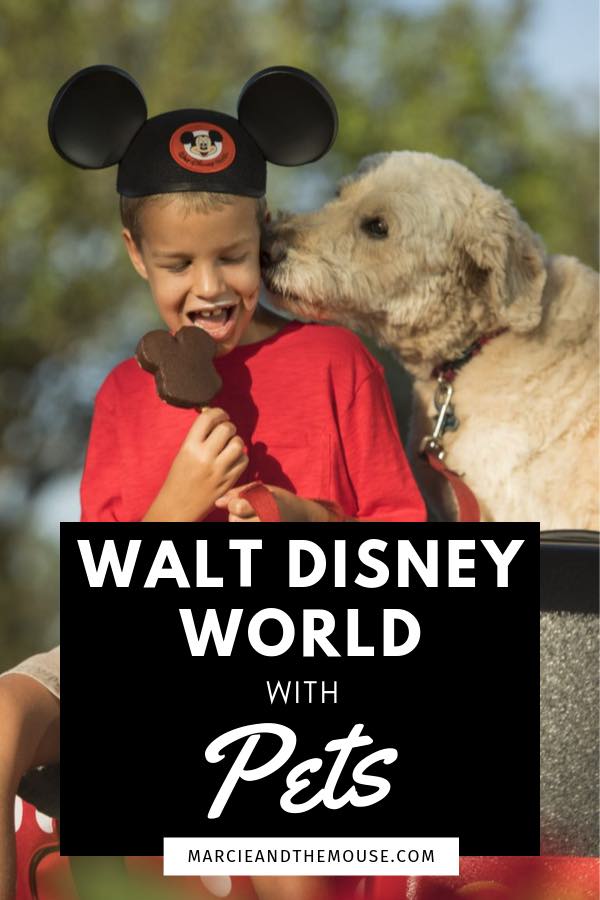 How to Bring a Pet at Walt Disney World, tips and tricks featured by top US Disney blogger, Marcie and the Mouse: Heading to Walt Disney World with pets? Find out all the pet-friendly Walt Disney World Resorts and what to do with your pet at Walt Disney World.
