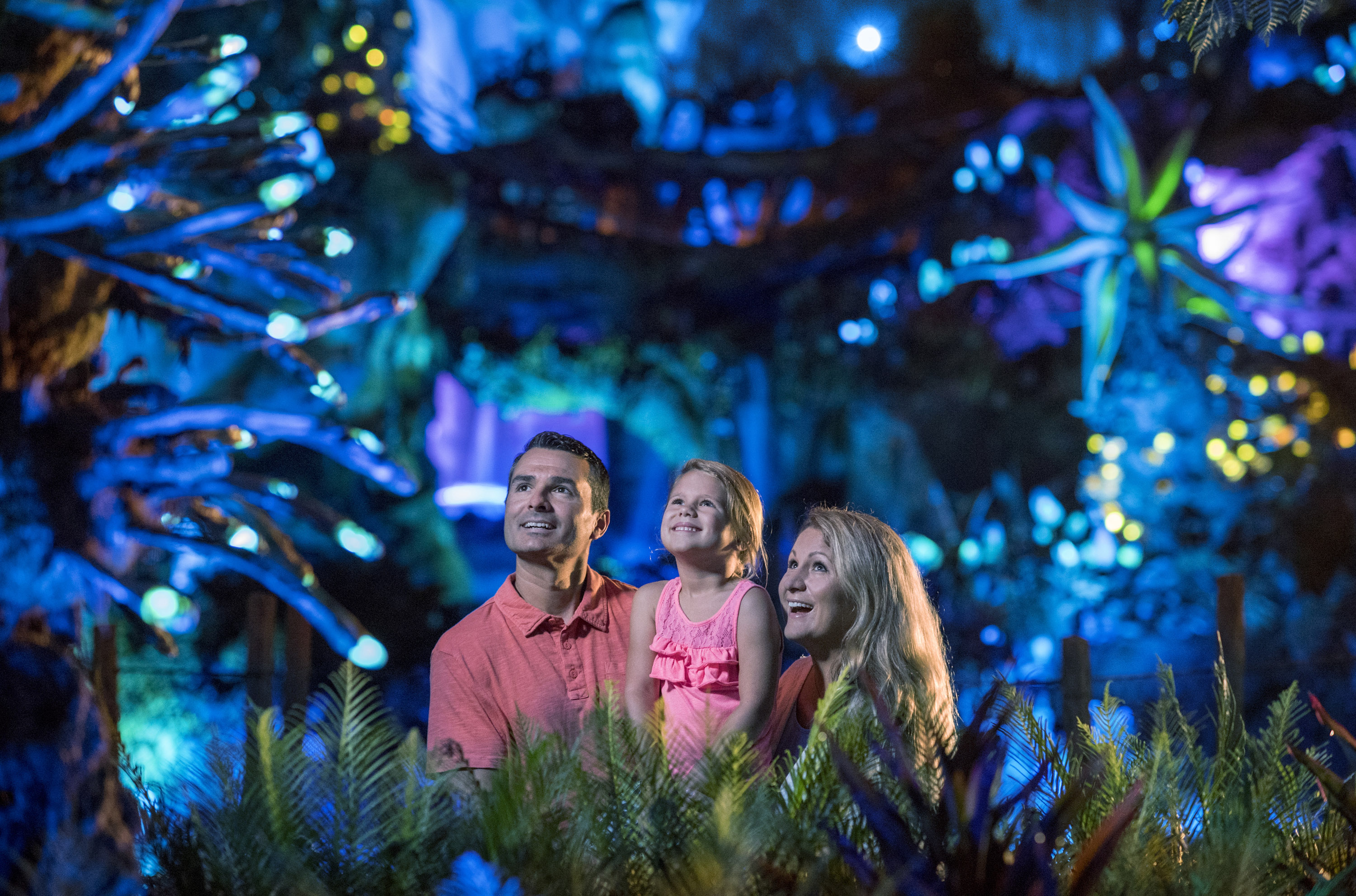 Top 5 Tips for Disney’s Animal Kingdom Magic that Don't Cost Extra featured by top US Disney blogger, Marcie and the Mouse: For the ultimate Disney's Animal Kingdom magic moment, head to Pandora at nigthttime.